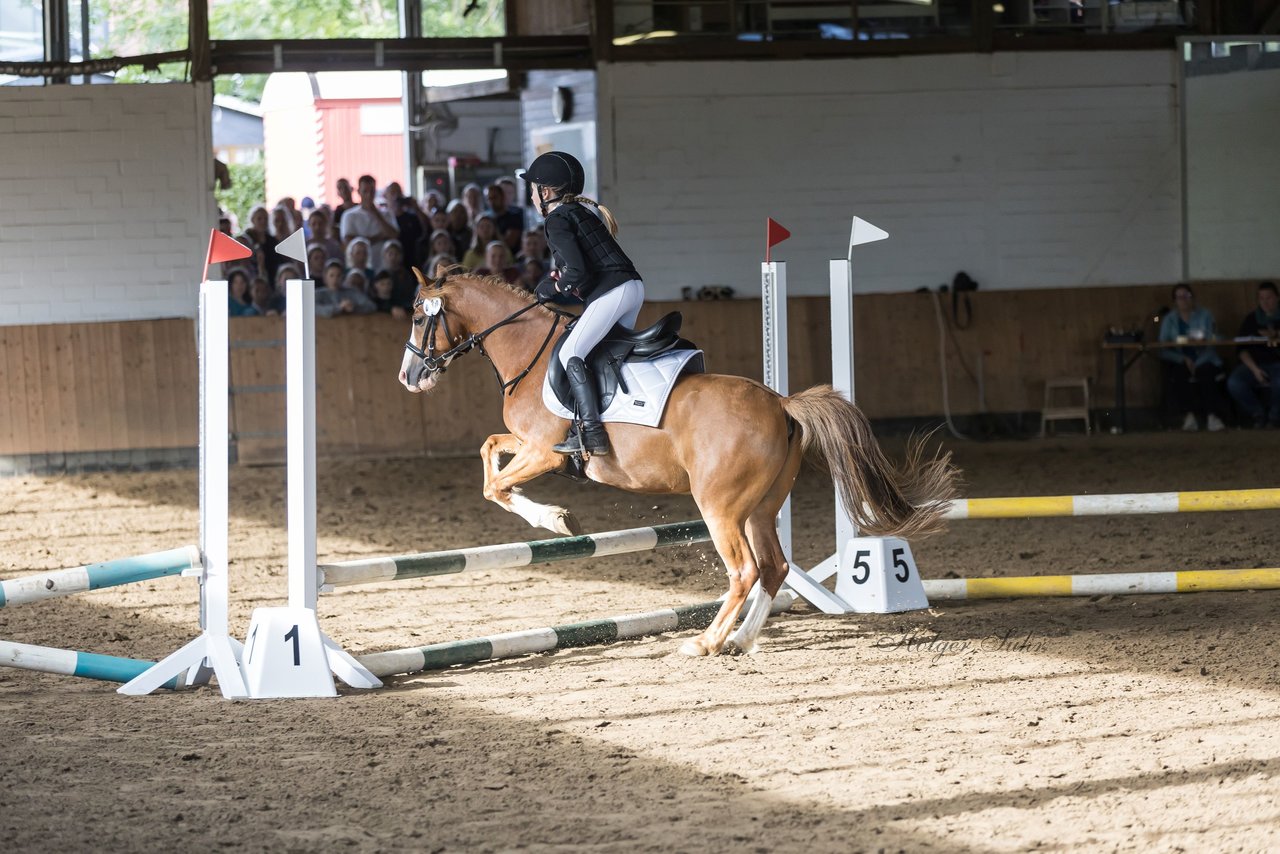 Bild 151 - Pony Akademie Turnier